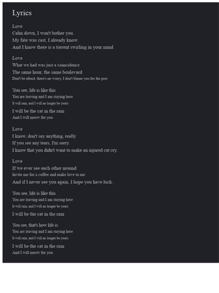 A cat in the rain lyrics