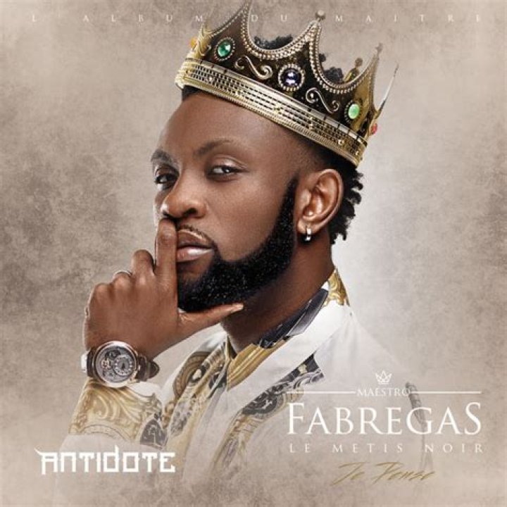 Fabregas le metis noir lyrics