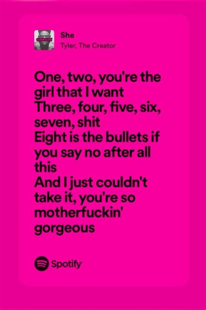 Hyperbole in songs tyler the creator lyrics
