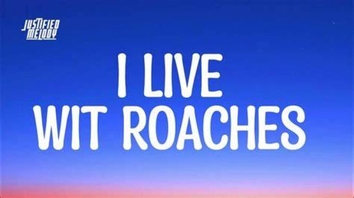 I live with roaches lyrics