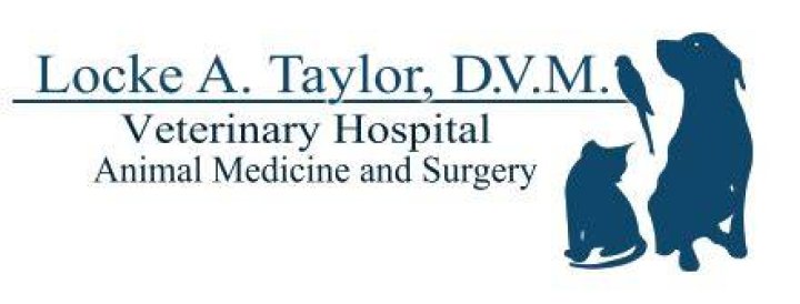 Legacy of Dr. Locke Taylor