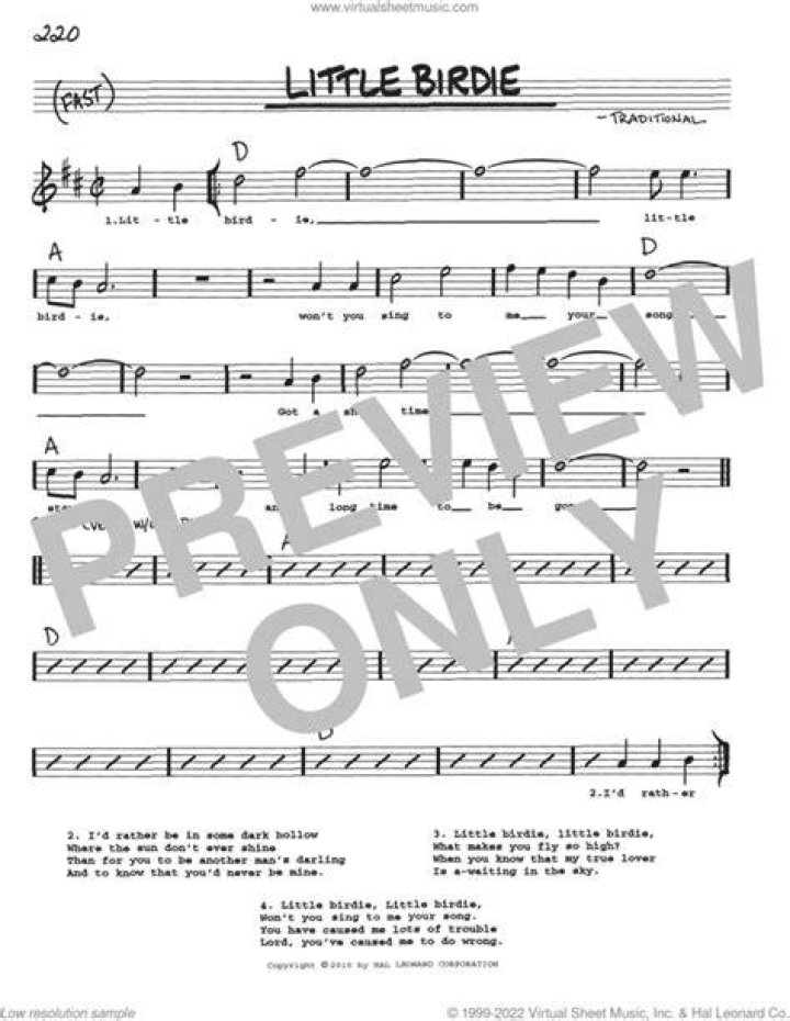 Look at the birdie lyrics
