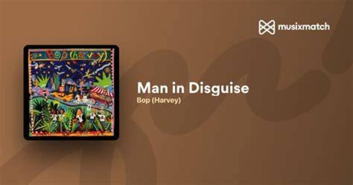 Man in disguise lyrics