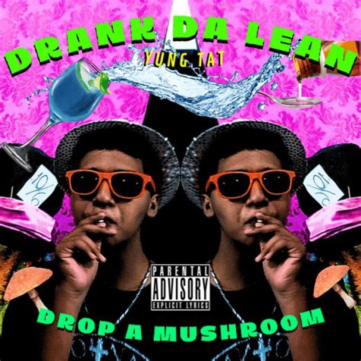 Mushroom rap lyrics