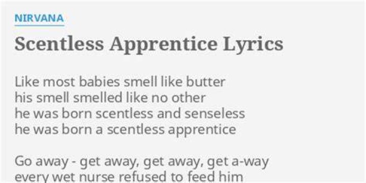 Nirvana - Scentless Apprentice Lyrics Meaning