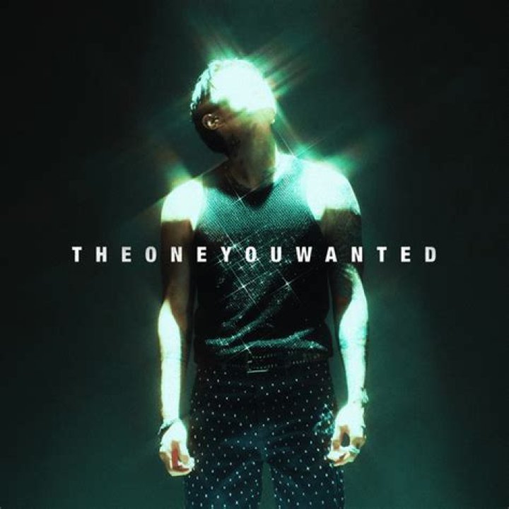 Not the one you wanted lyrics