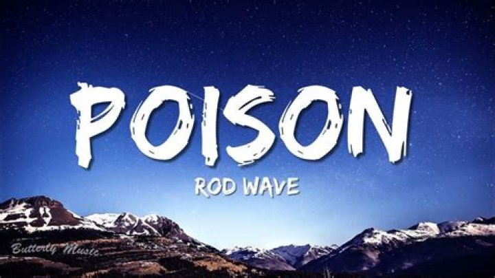 Poison rod wave lyrics
