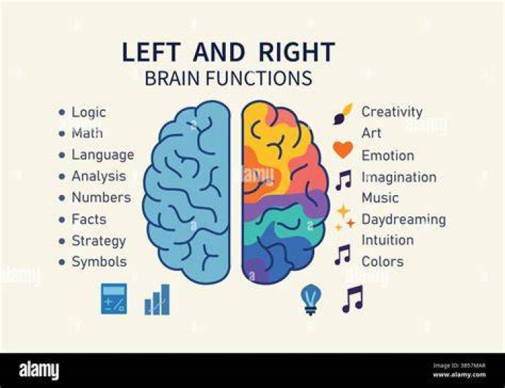 Right brain left brain lyrics