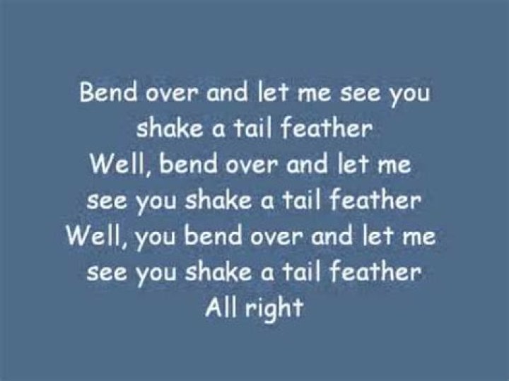 Shake your tailfeather lyrics