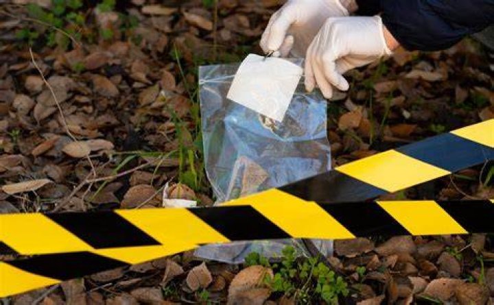 Specialized Detectives and Local Authorities Examine Specifics in Lyle Leverentz Specialized Detectives and Local Authorities Examine Specifics in Lyle Leverentz