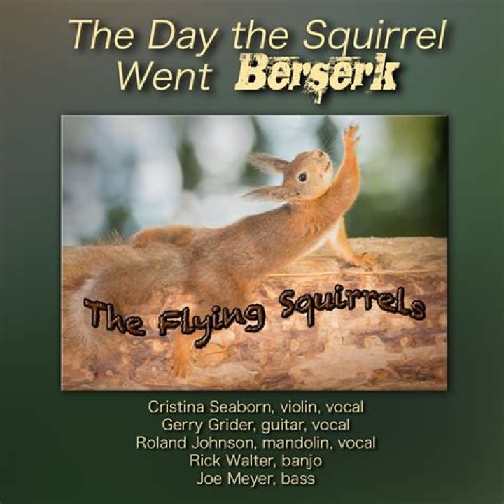 The day the squirrel went berzerk lyrics