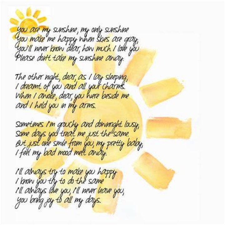 You brought the sunshine lyrics